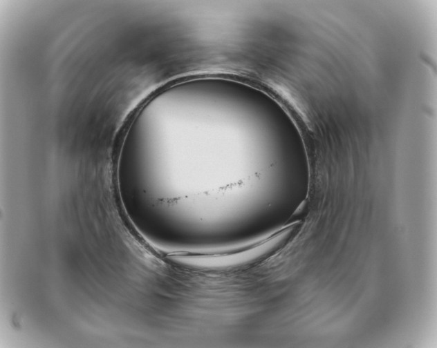 X0000096221460200802011332