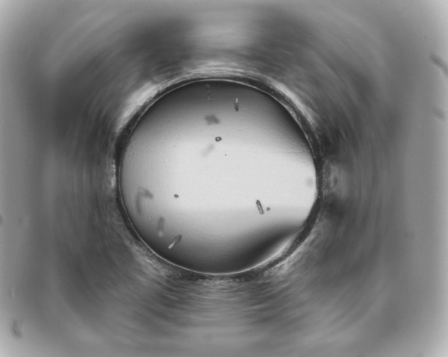 X0000096221461200802011332