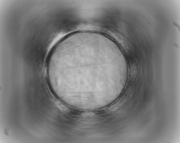 X0000096221462200802011332