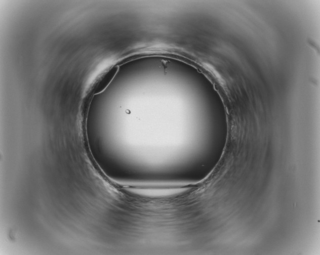 X0000096221464200802011332