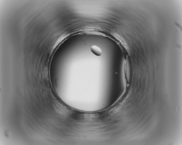 X0000096221465200802011332