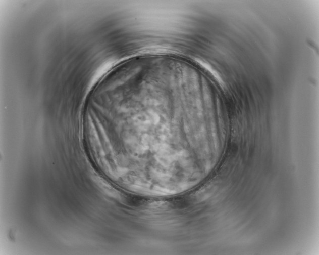 X0000096221467200802011332