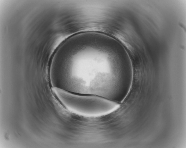 X0000096221468200802011332