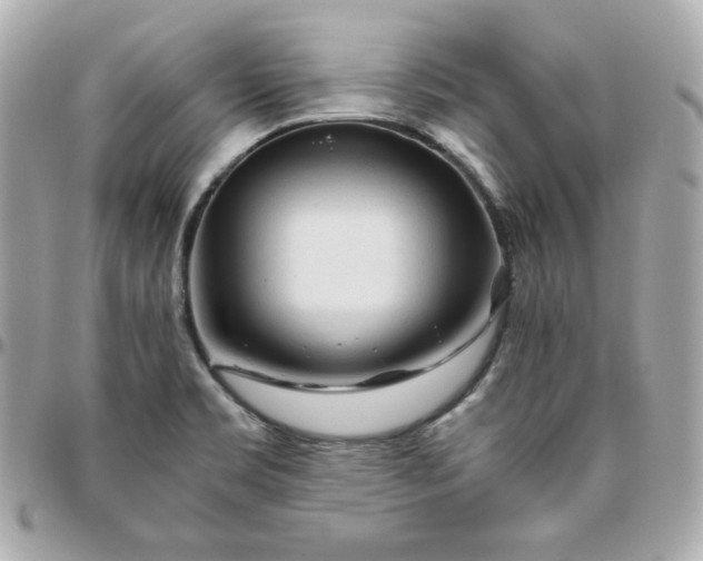 X0000096221469200802011332