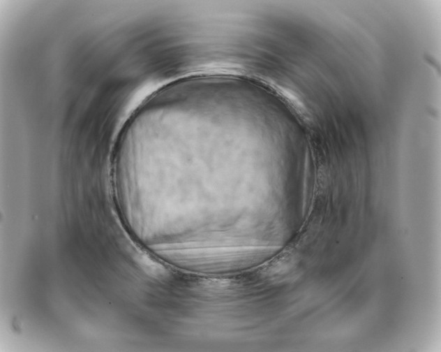 X0000096221470200802011332