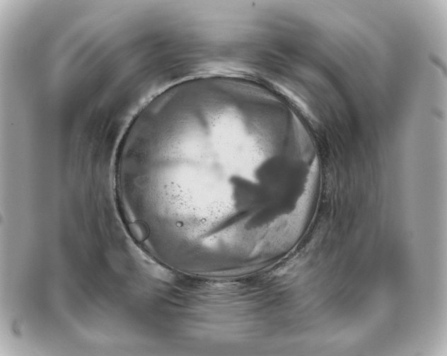 X0000096221471200802011332