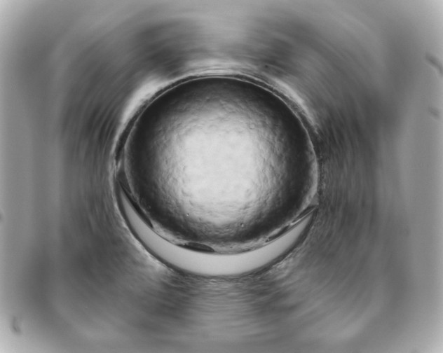 X0000096221472200802011332