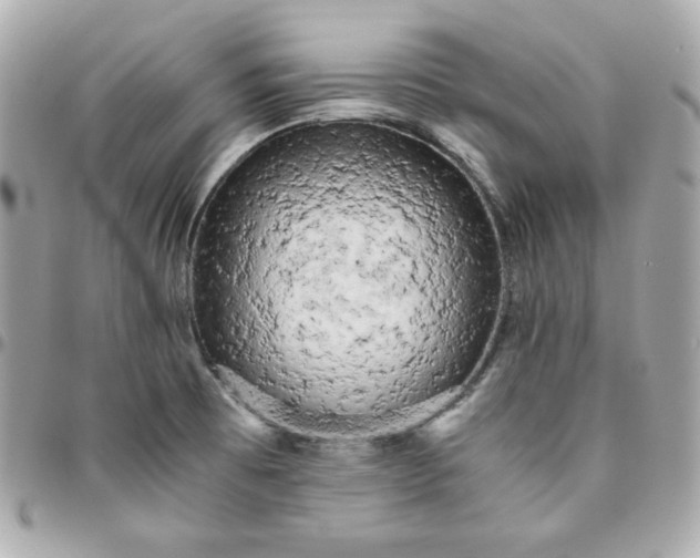 X0000096221473200802011332