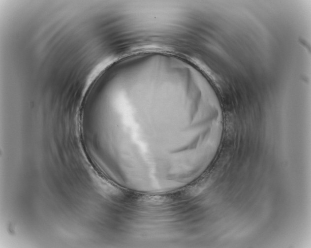 X0000096221474200802011332