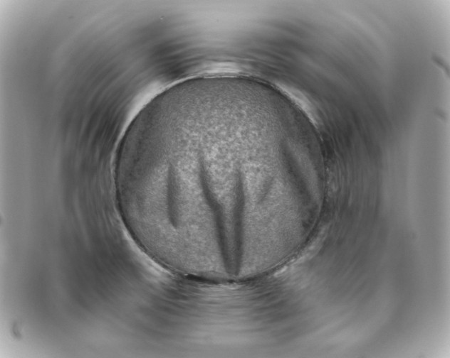 X0000096221475200802011332