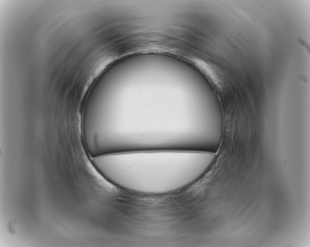 X0000096221476200802011332