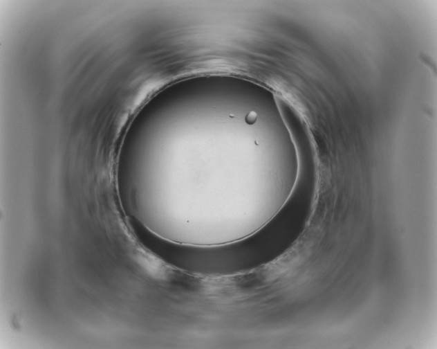 X0000096221477200802011332