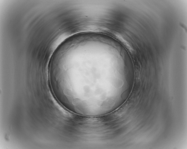 X0000096221479200802011332