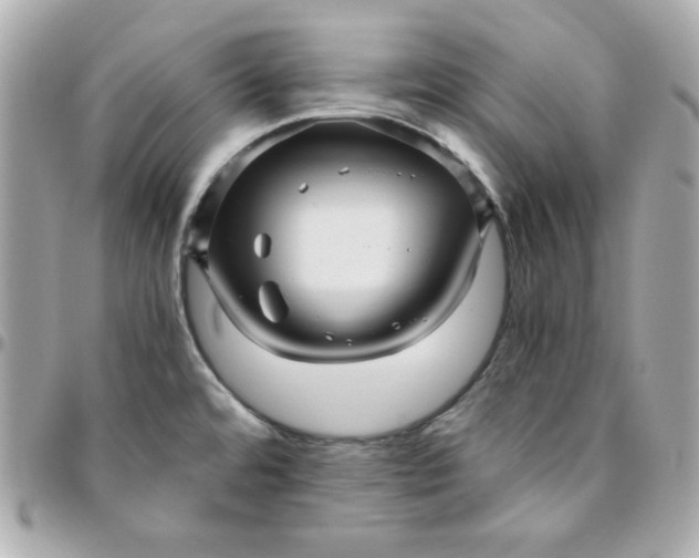 X0000096221480200802011332