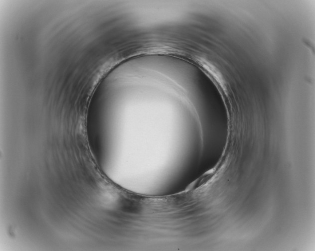 X0000096221481200802011332