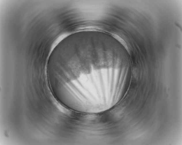 X0000096221482200802011332