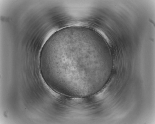 X0000096221483200802011332