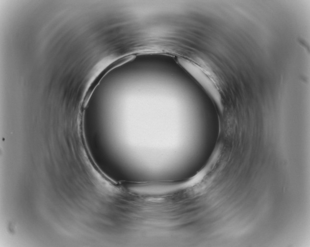 X0000096221484200802011332