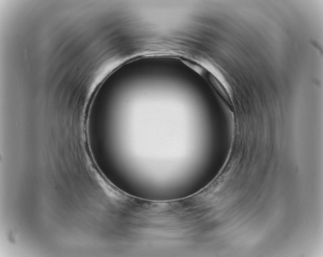 X0000096221485200802011332