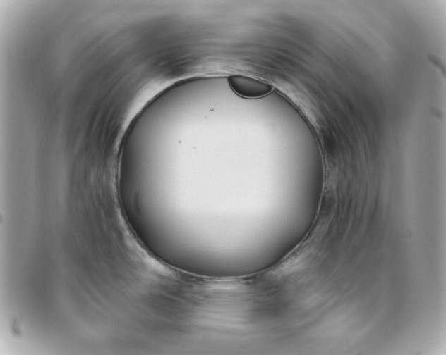 X0000096221486200802011332