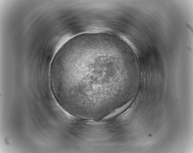 X0000096221487200802011332