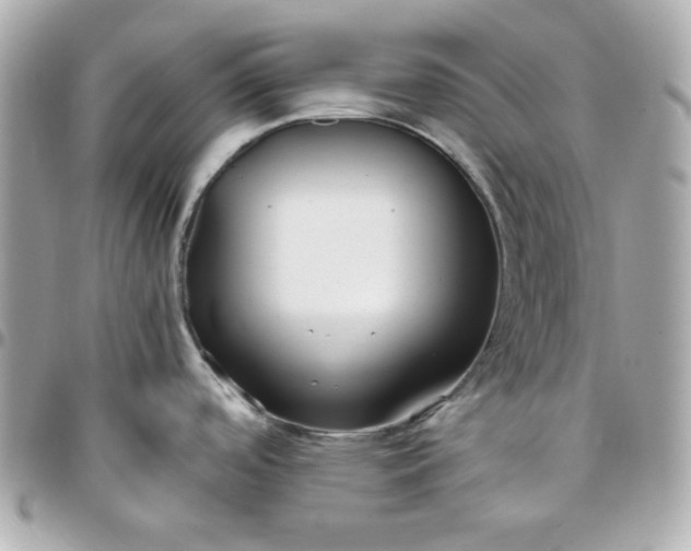 X0000096221488200802011332