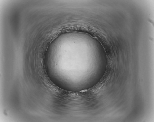 X0000096221489200802011331