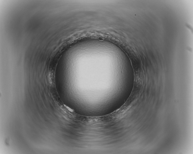 X0000096221490200802011331