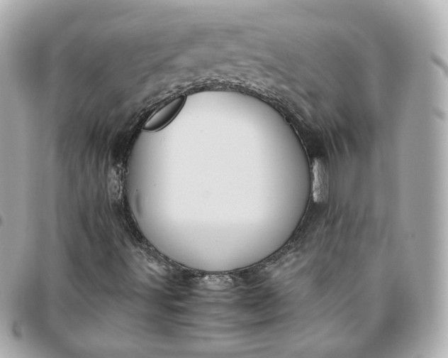 X0000096221491200802011331