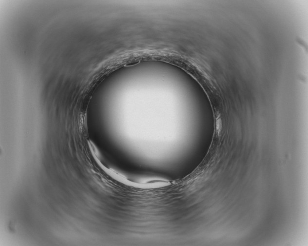 X0000096221492200802011331