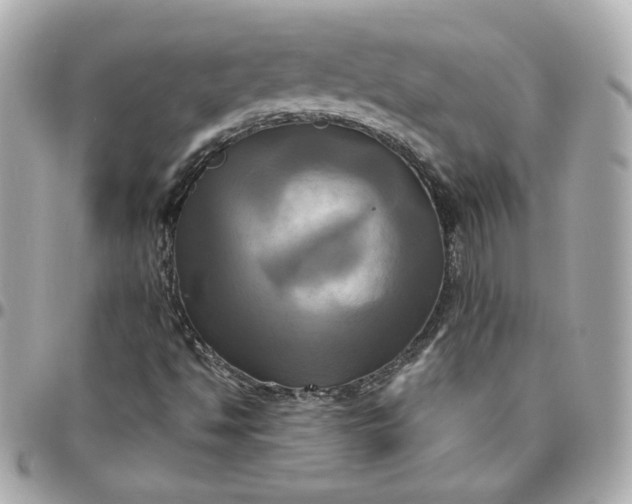 X0000096221494200802011331