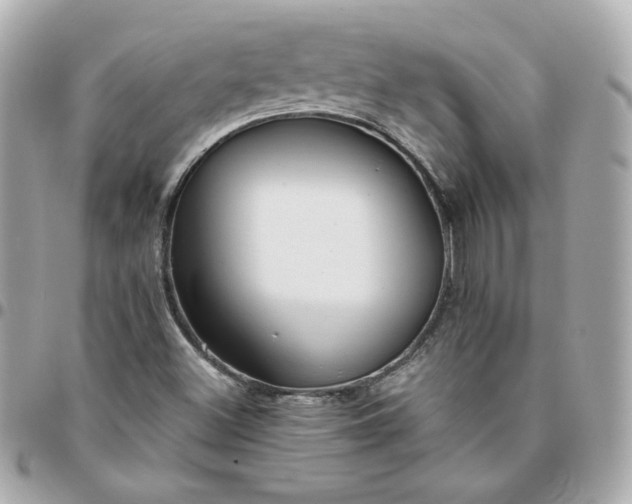 X0000096221500200802011331