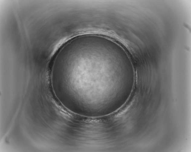 X0000096221501200802011331