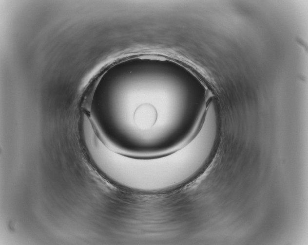 X0000096221502200802011331