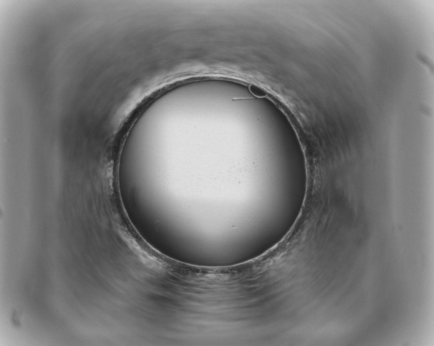 X0000096221503200802011331