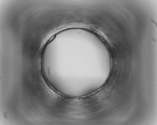 X0000096221504200802011331