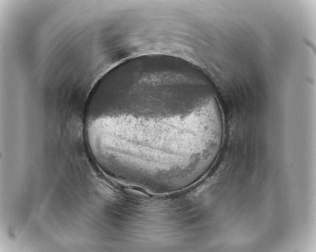 X0000096221505200802011331