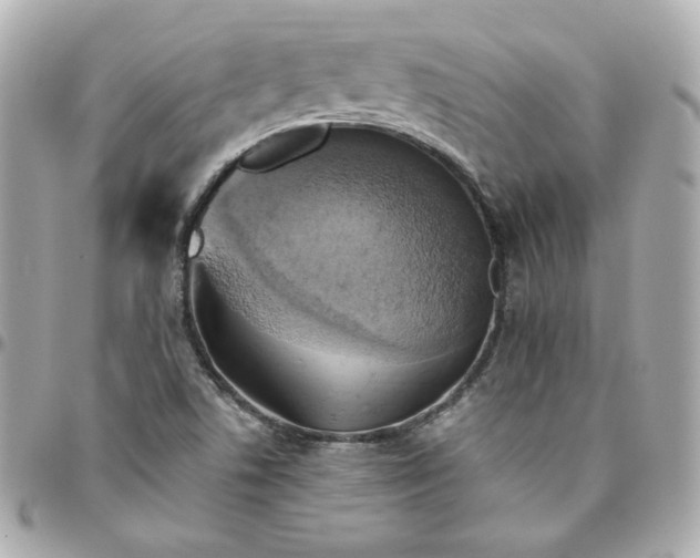 X0000096221506200802011331