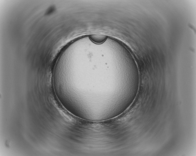 X0000096221507200802011331