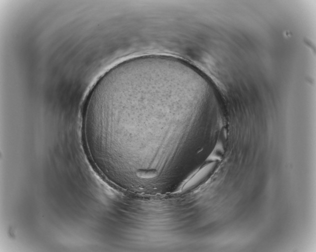 X0000096221508200802011331