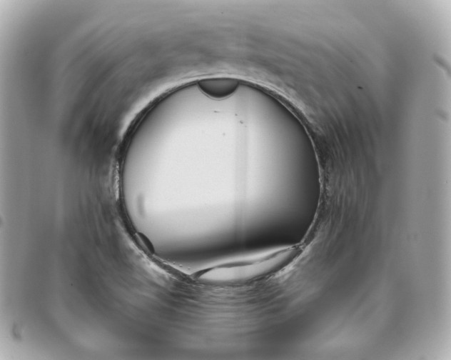 X0000096221510200802011331