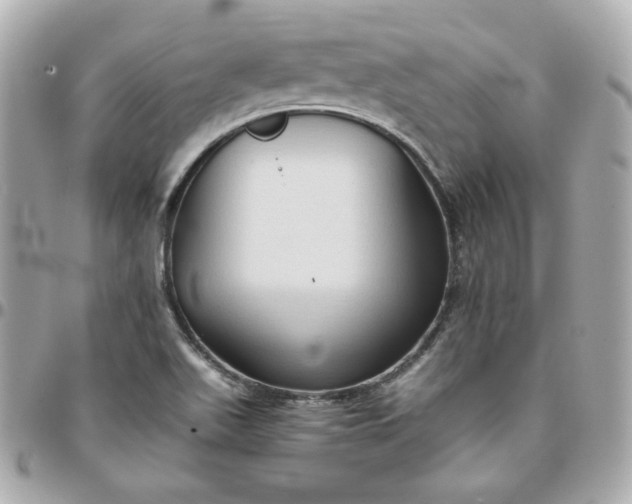 X0000096221511200802011331