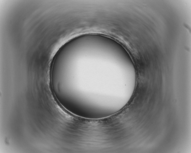 X0000096221512200802011331