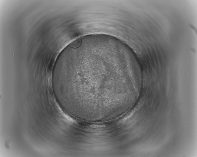 X0000096221513200802011331