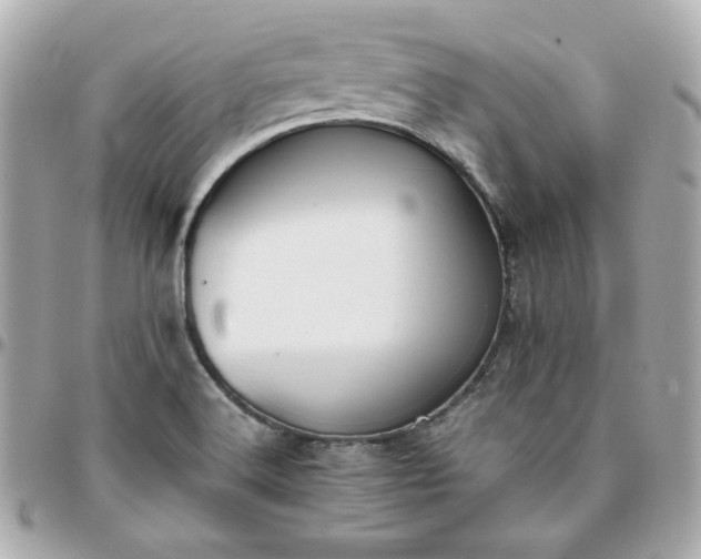 X0000096221516200802011331