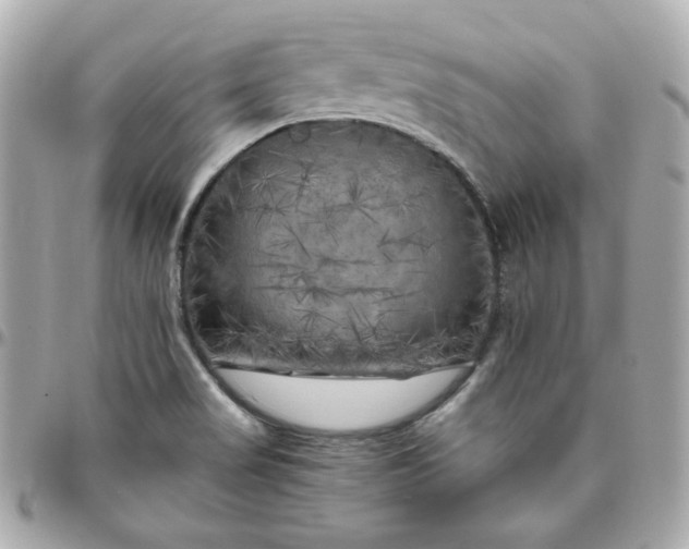 X0000096221517200802011331