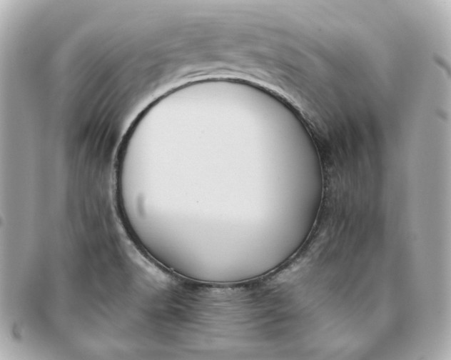 X0000096221518200802011331