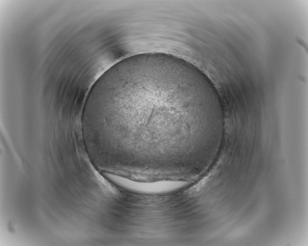 X0000096221521200802011331