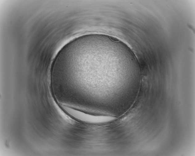 X0000096221523200802011331