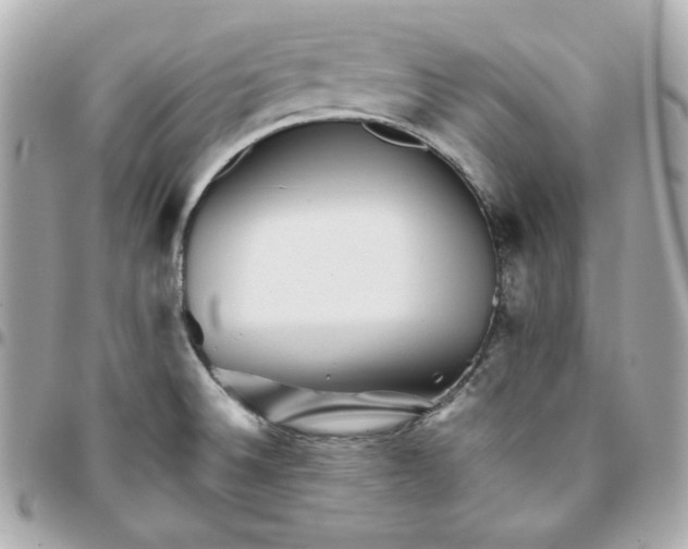 X0000096221524200802011331